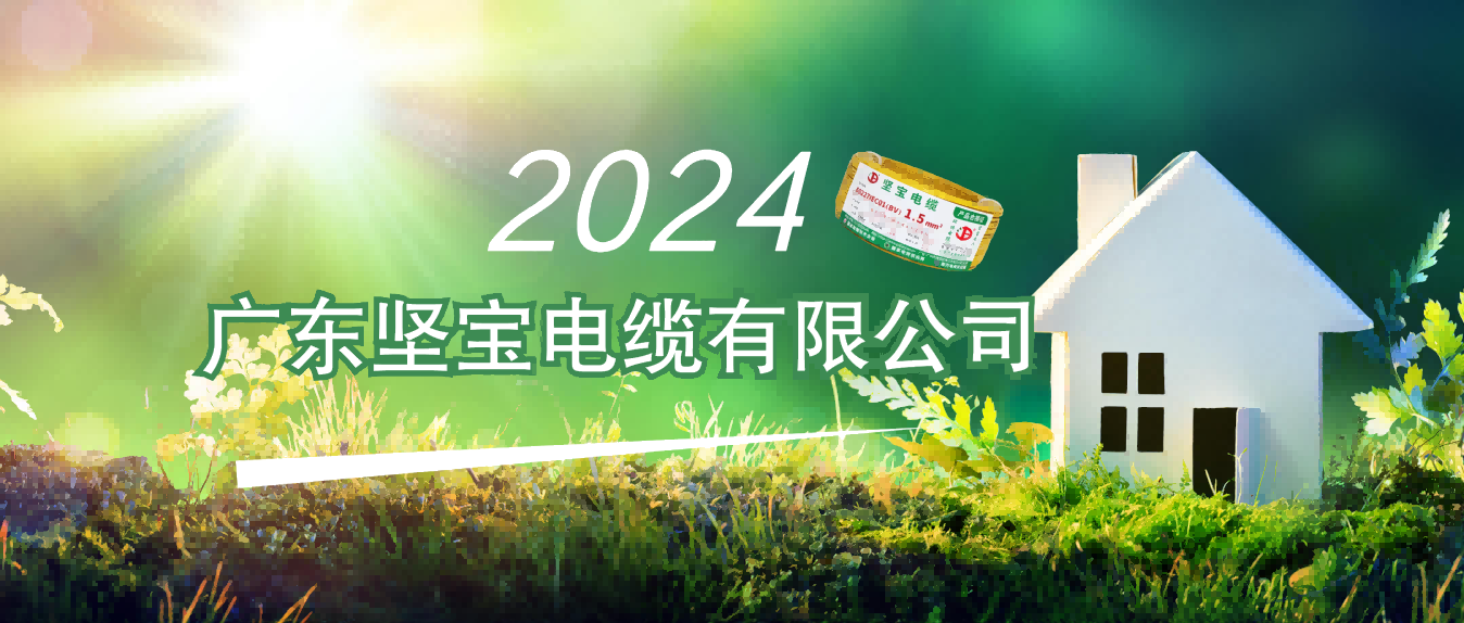 to 线缆人：2024年政府工作报告透露出这些信号……