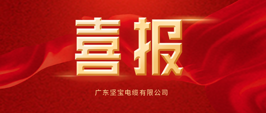 喜报频传丨91看片下载获能源管理体系认证证书